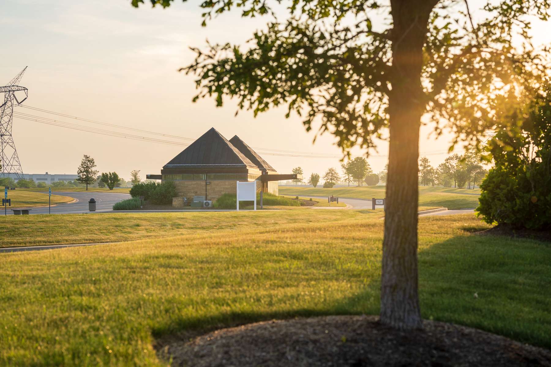 The 12 Best Flowering Trees for Commercial Landscapes in Greater Chicago
